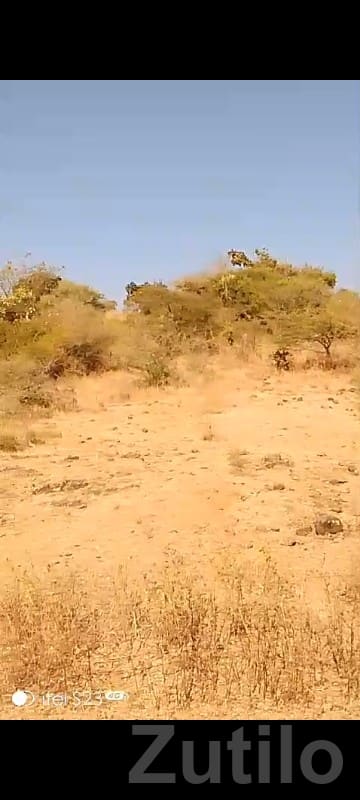 28 Vigha Open Land in Junisar, Jamjodhpur - Land & Plots - Jamjodhpur - Image 3