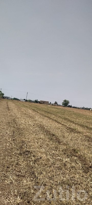 Fertile Agricultural Land with Well - Land & Plots - Keshod - Image 3