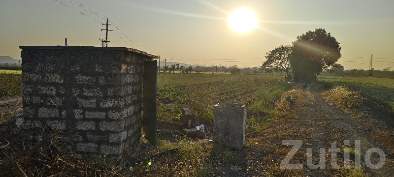 Sunlit Agricultural Land for Sale