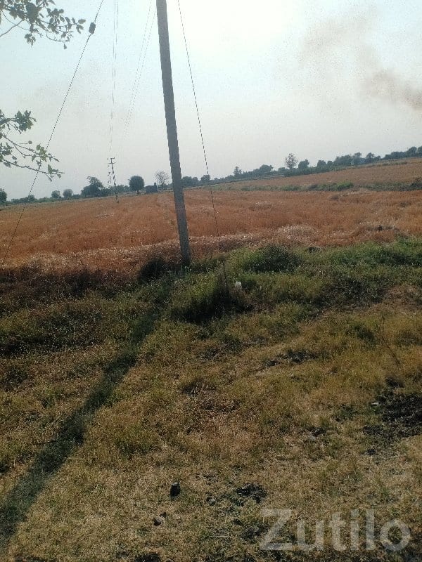 Roadside Agricultural Land in Mangrol Roadside Agricultural Land in Mangrol
