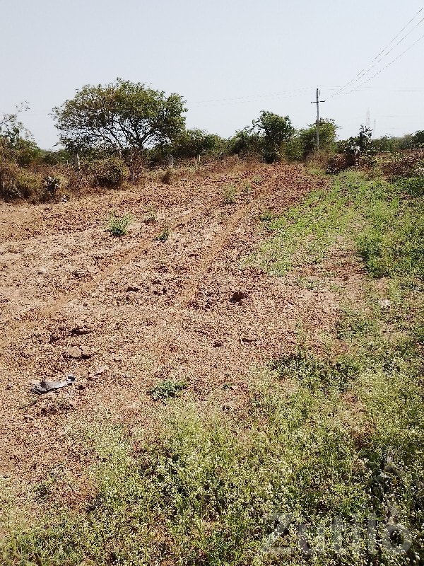 Fertile Riverfront Farmland Plot for Sale