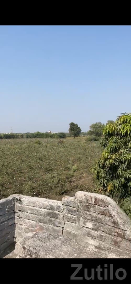 5.5 Bigha Open Land in Vartej, Bhavnagar - Land & Plots - Bhavnagar City - Image 2