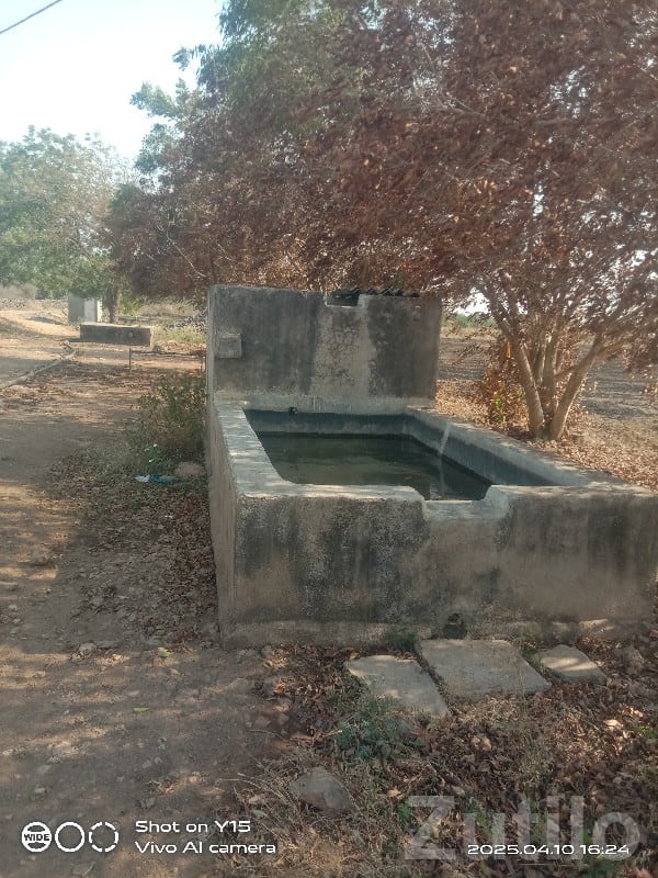 Kutiyana Agricultural Land with Farm House - Land & Plots - Kutiyana - Image 2