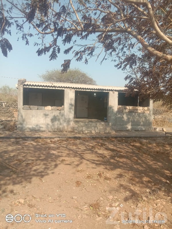 Kutiyana Agricultural Land with Farm House - Land & Plots - Kutiyana - Image 3