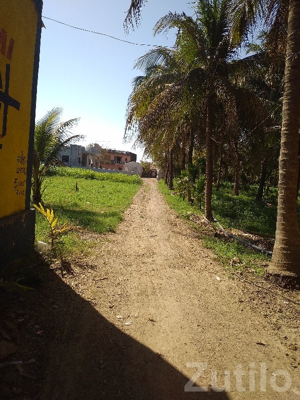 Talala Green Agricultural Plot for Sale Talala Green Agricultural Plot for Sale