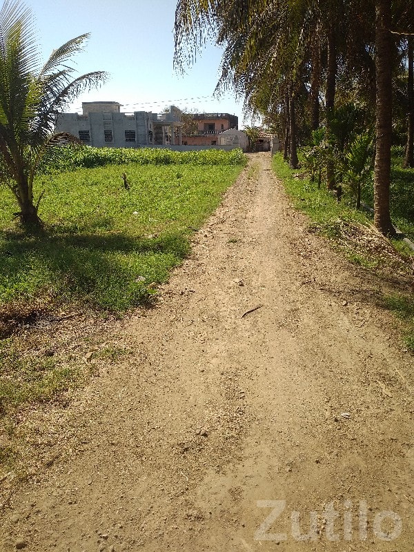 Talala Green Agricultural Plot for Sale - Land & Plots - Talala - Image 2
