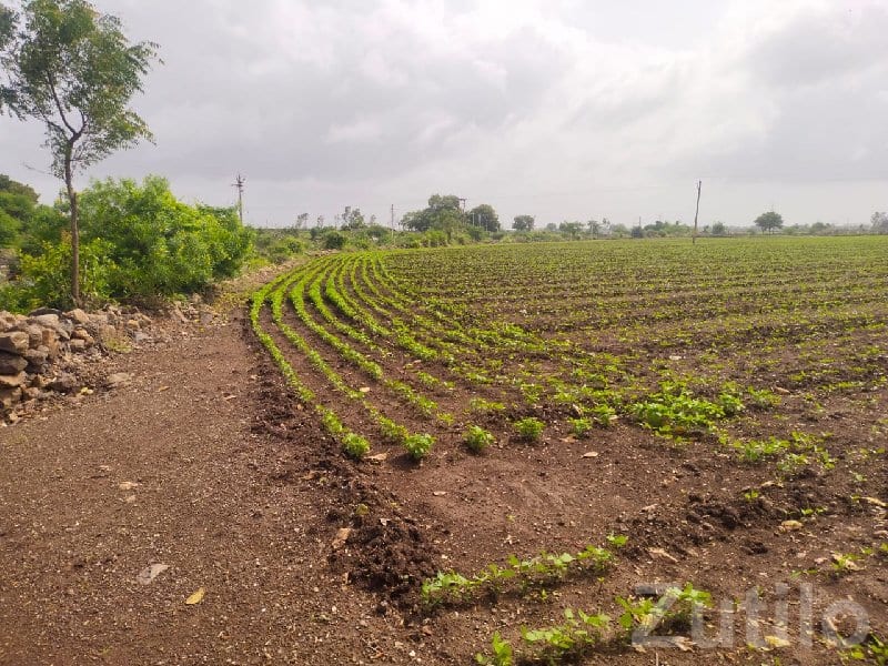 Highway Touch 8 Vigha Farmland Plot