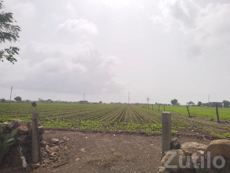 Highway Touch 8 Vigha Farmland Plot - Land & Plots - Virpur - Image 3