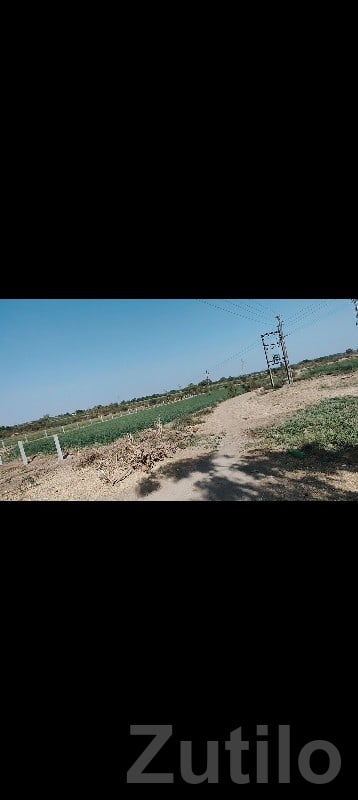 Green Agricultural Land for Sale Rajkot - જમીન અને પ્લોટ - રાજકોટ શહેર - Image 2