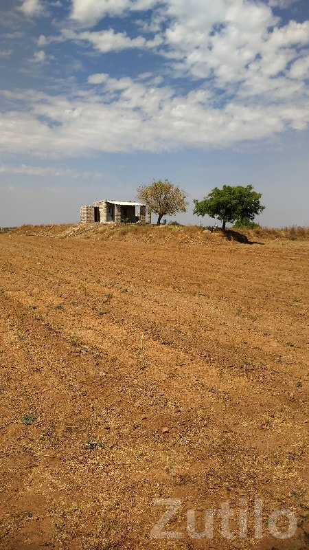Visavadar Open Agricultural Land Plot Visavadar Open Agricultural Land Plot