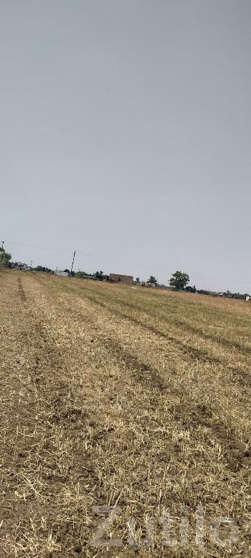 Keshod Agricultural Land With Well - Land & Plots - Keshod - Image 2
