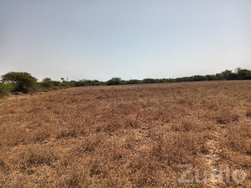 Open Agricultural Land Plot for Sale - Land & Plots - Talala - Image 2