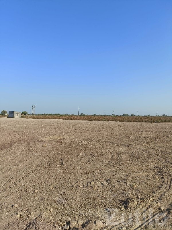 14.5 Vigha Agriculture Land for Sale - જમીન અને પ્લોટ - માણાવદર - Image 2