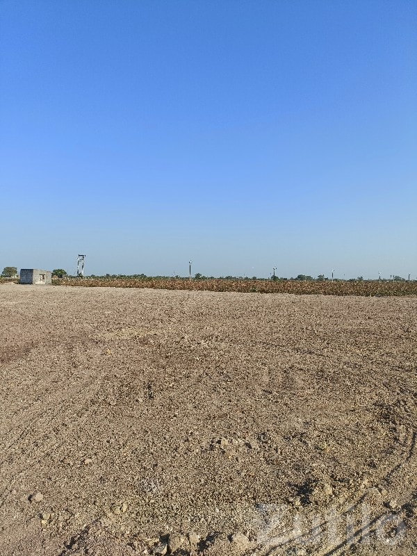 14.5 Vigha Open Agricultural Land 14.5 Vigha Open Agricultural Land