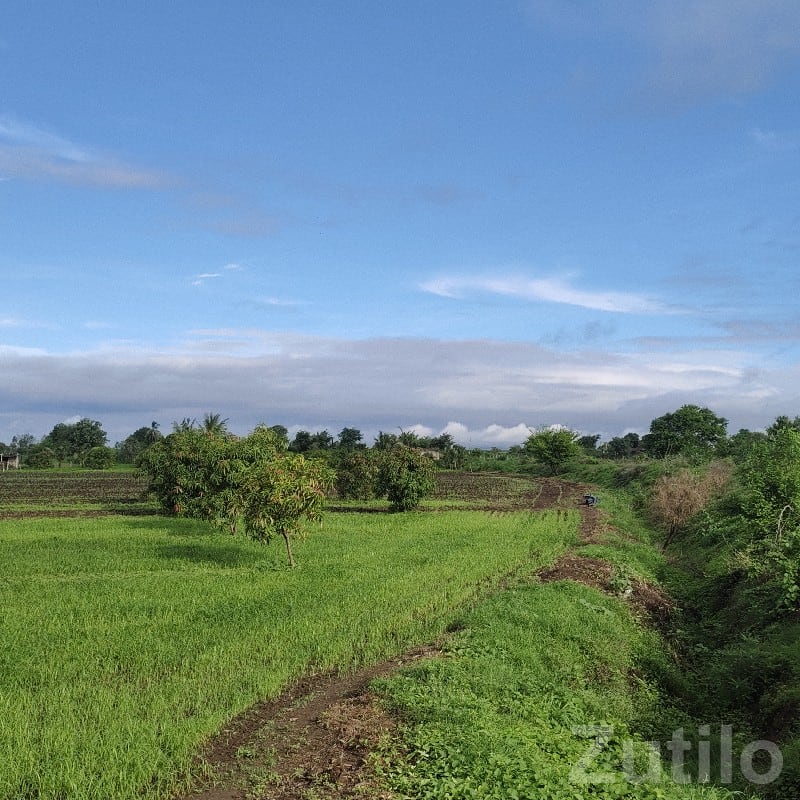 13 Vigha Fertile Green Farmland Plot 13 Vigha Fertile Green Farmland Plot