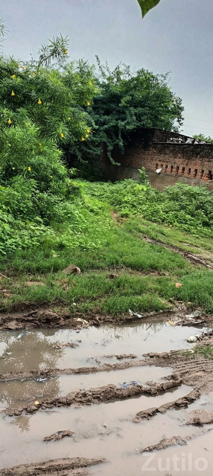 Gandhinagar Walled Green Residential Plot - જમીન અને પ્લોટ - ગાંધીનગર શહેર - Image 2