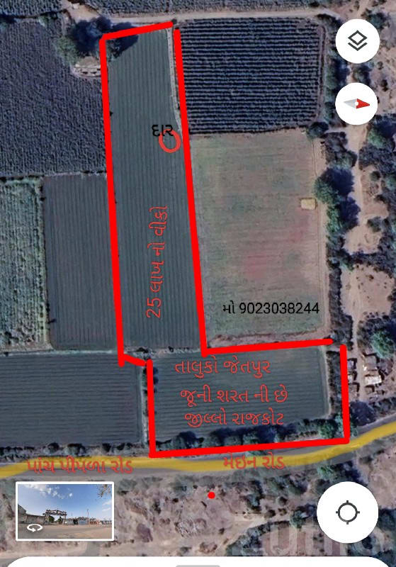 Agricultural Land Plot Near Gondal Road - Land & Plots - Gondal - Image 2