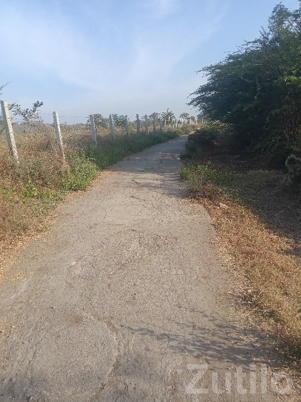 Fenced Agricultural Land in Manavadar Fenced Agricultural Land in Manavadar