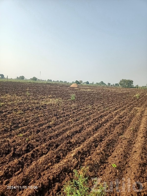 Rajkot Fertile Agricultural Land for Sale
