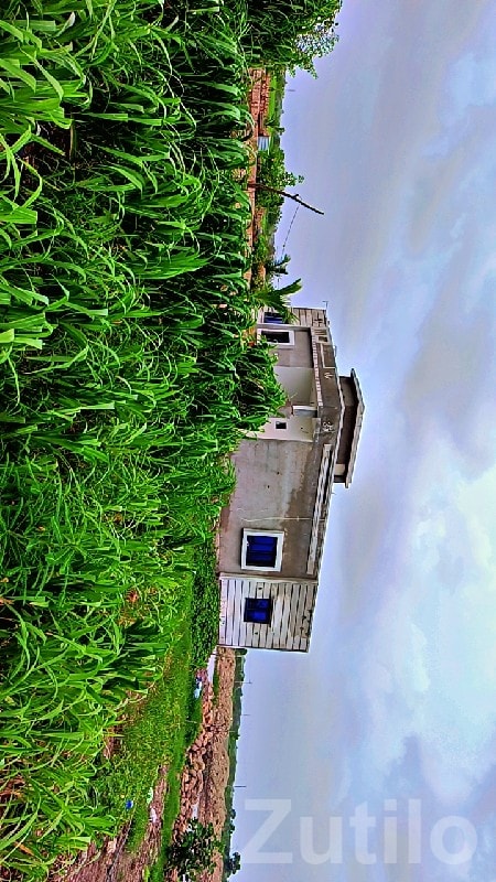 Fertile Agriculture Land in Bhanvad - Land & Plots - Bhanvad - Image 2