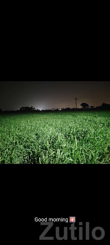 Highway Touch Fertile Agricultural Land - Land & Plots - Mendarda - Image 2