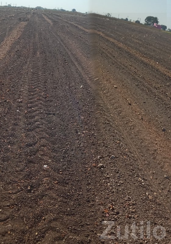 14.5 Bigha Agricultural Land Manavadar - Land & Plots - Manavadar - Image 3