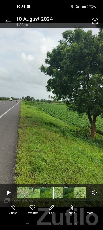 Road Touch Green Farmland Keshod Road Touch Green Farmland Keshod