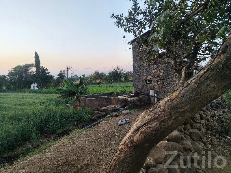 Fertile Open Farming Land Plot - Land & Plots - Kodinar - Image 3