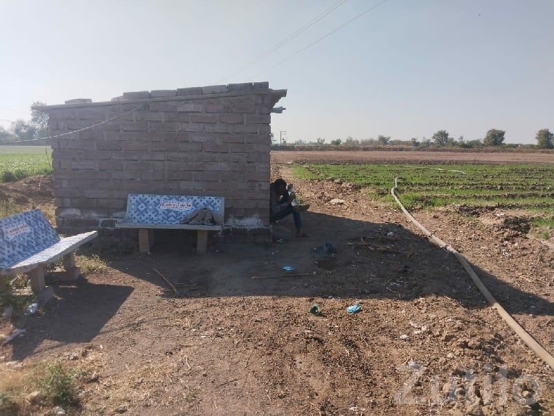 Irrigated Agricultural Land for Sale - Land & Plots - Dhari - Image 2