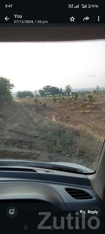 Mango Orchard Agriculture Plot in Keshod Mango Orchard Agriculture Plot in Keshod