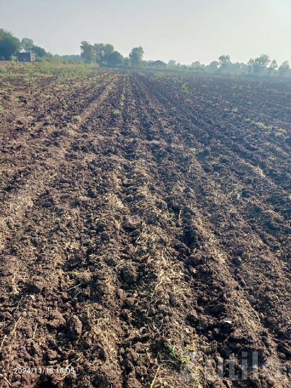 Fertile Agricultural Land for Sale