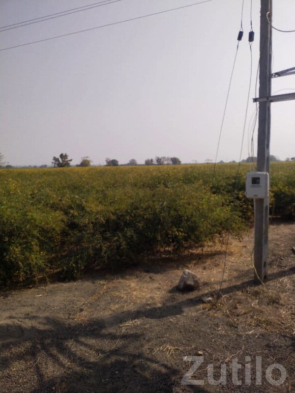 Roadside Agricultural Land with Power