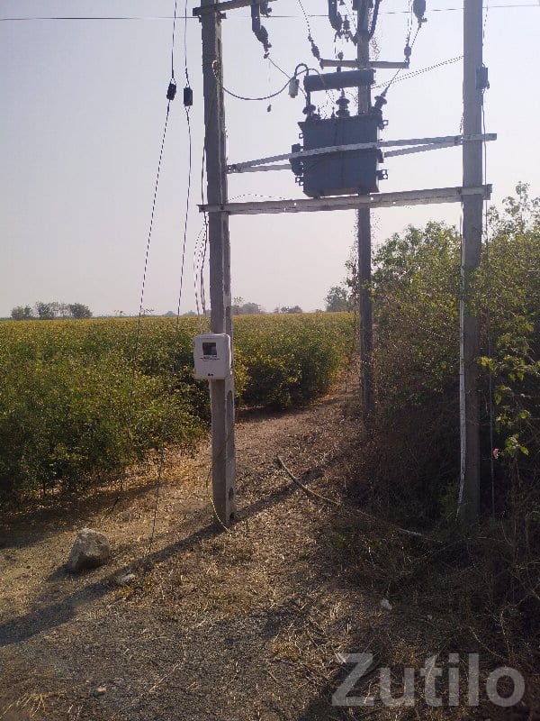 Roadside Agricultural Land with Power - Land & Plots - Jamjodhpur - Image 2