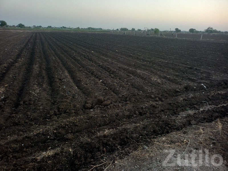 Fertile Agricultural Land for Sale, Gondal