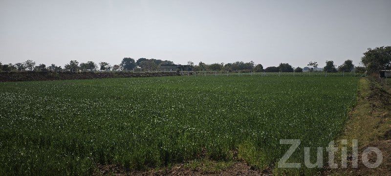 Fertile Agricultural Land for Sale