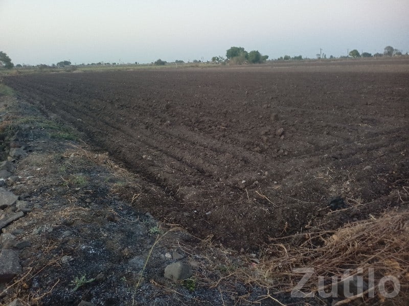 Fertile Agricultural Land for Sale, Gondal - Land & Plots - Gondal - Image 3