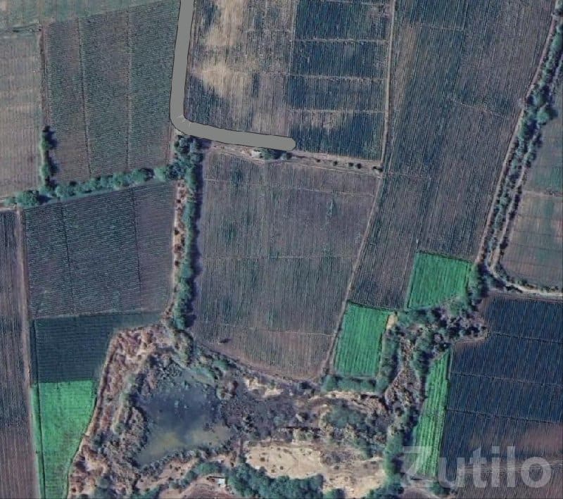 Road Touch Farmland Plot in Limbdi