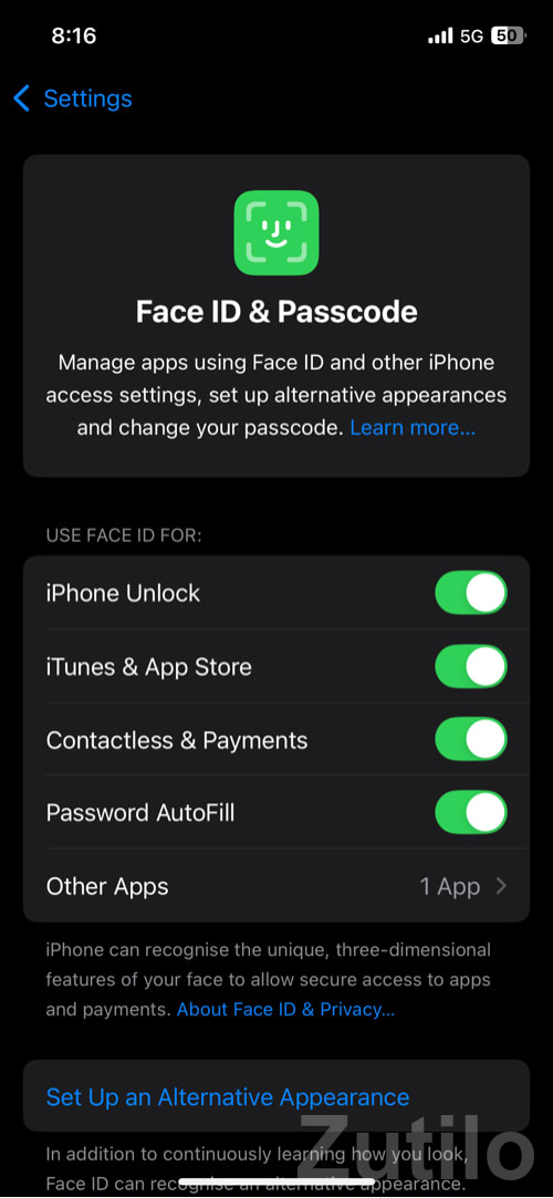 Apple iPhone 12 in Full Working Condition