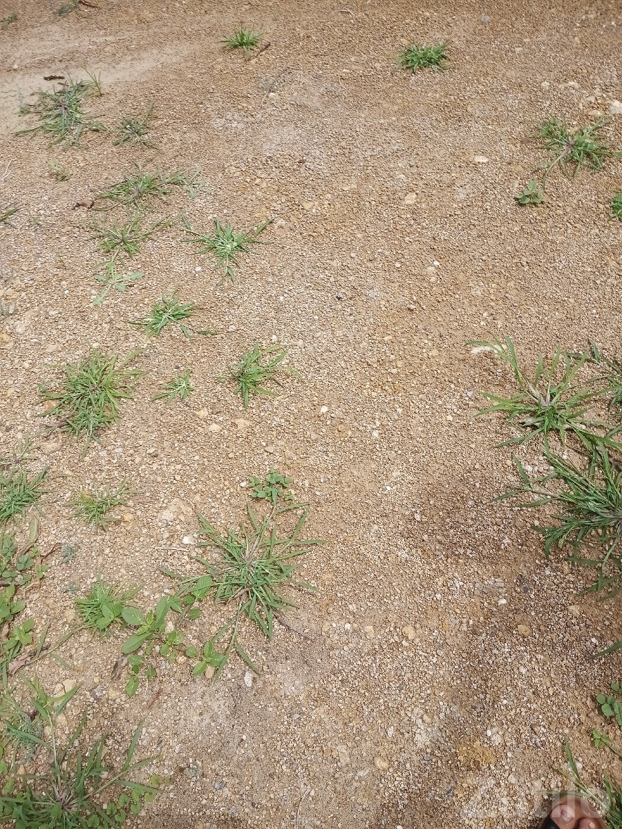 Residential Plot for Sale in Porbandar Residential Plot for Sale in Porbandar