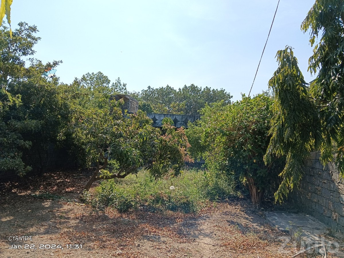 Corner Plot House for Sale in Adityana - ઘર વેચાણ માટે - આદિત્યાણા - Image 3