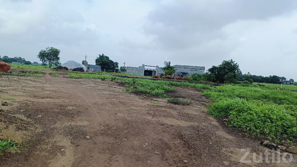 5 Bigha Open Agricultural Land for Sale