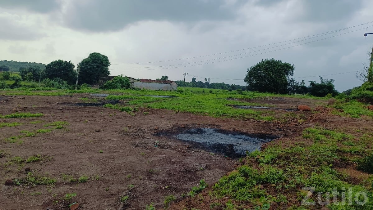 5 Bigha Open Agricultural Land for Sale - Land & Plots - Visavadar - Image 2