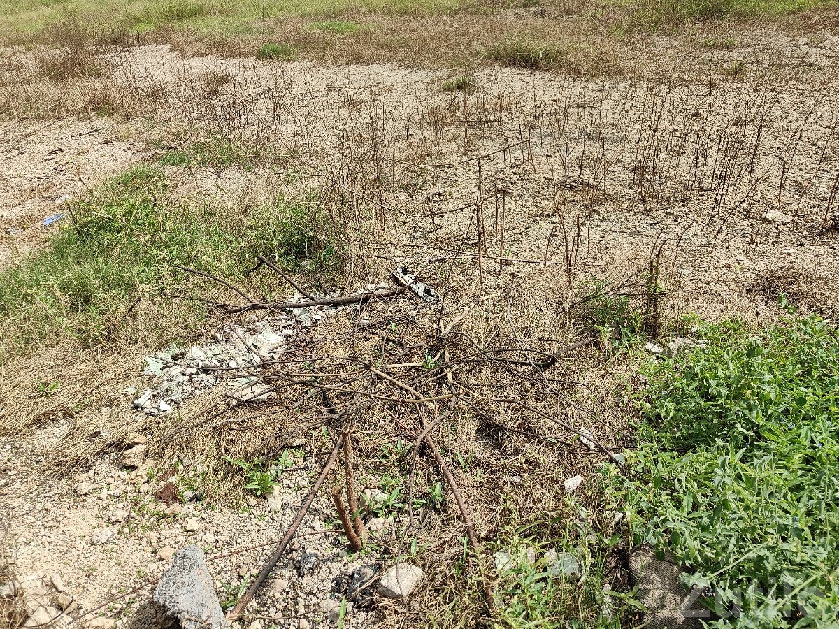 Residential Plots for Sale in Ranavav Residential Plots for Sale in Ranavav