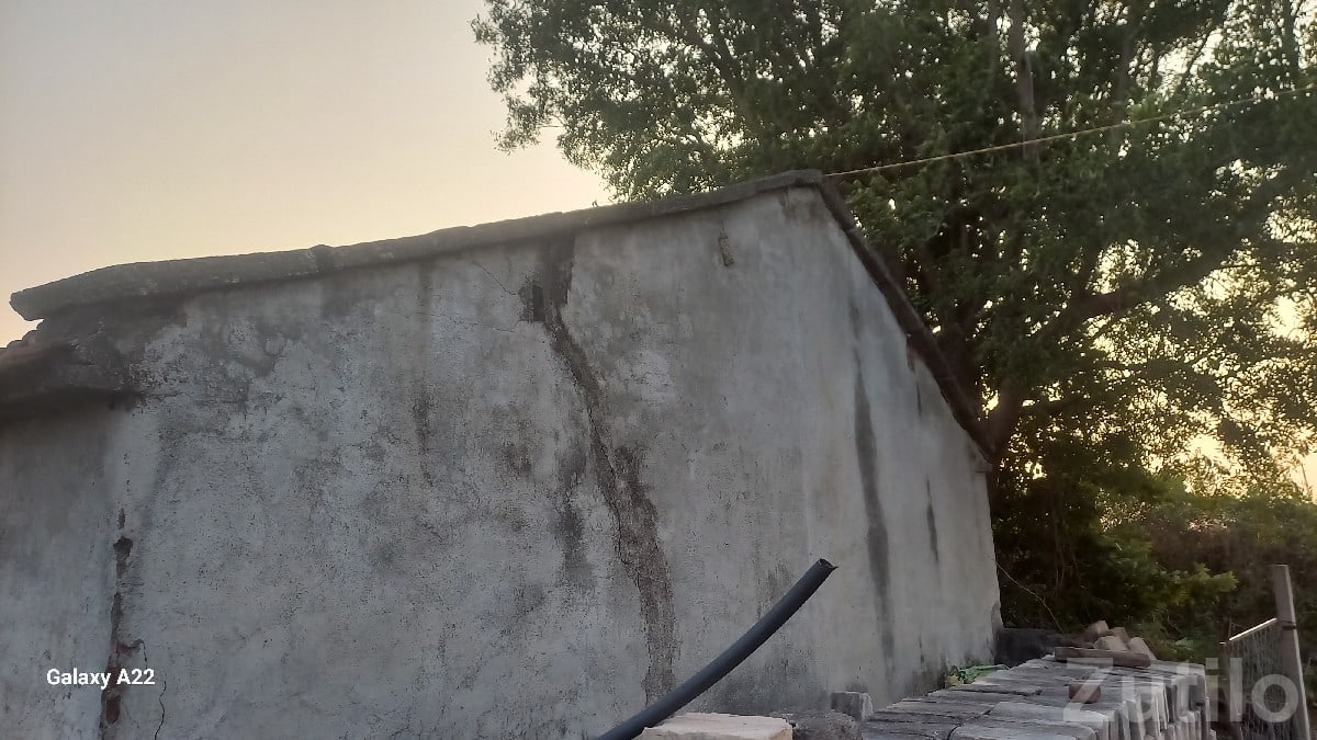 Old Village House Shed for Sale - જમીન અને પ્લોટ - જસદણ - Image 2