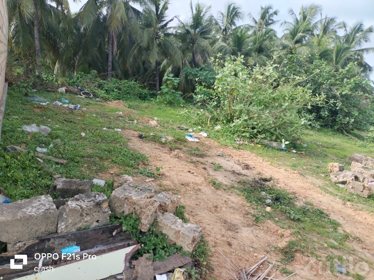 124 Vaar Open Plot for Sale in Mangrol 124 Vaar Open Plot for Sale in Mangrol