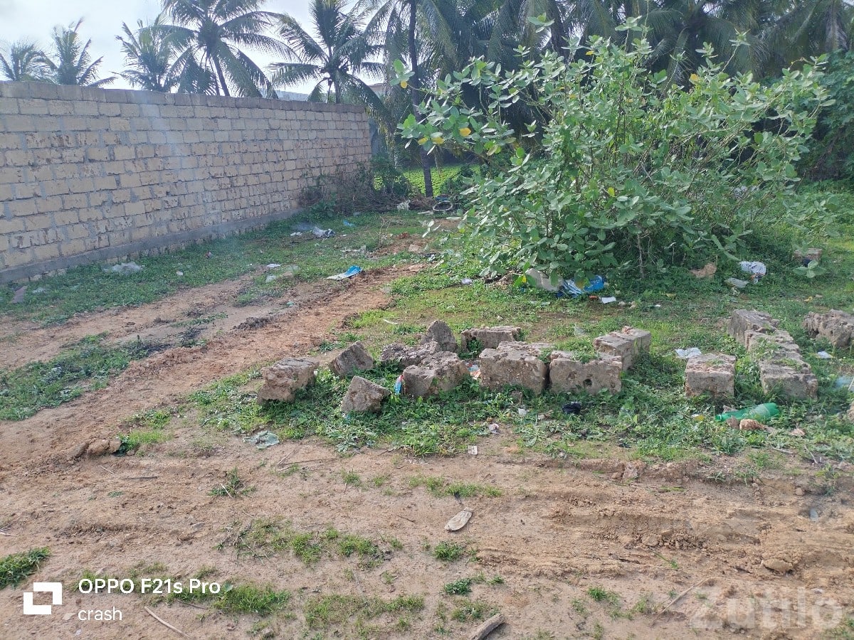 124 Vaar Open Plot for Sale in Mangrol - Land & Plots - Mangrol - Image 3
