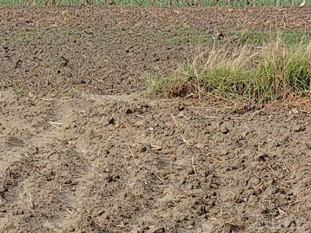 Residential/Farm Plot for Sale Kangshiyali