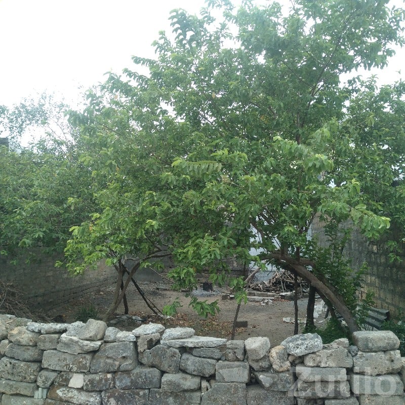Residential Plot for Sale in Balakrishna Society Residential Plot for Sale in Balakrishna Society