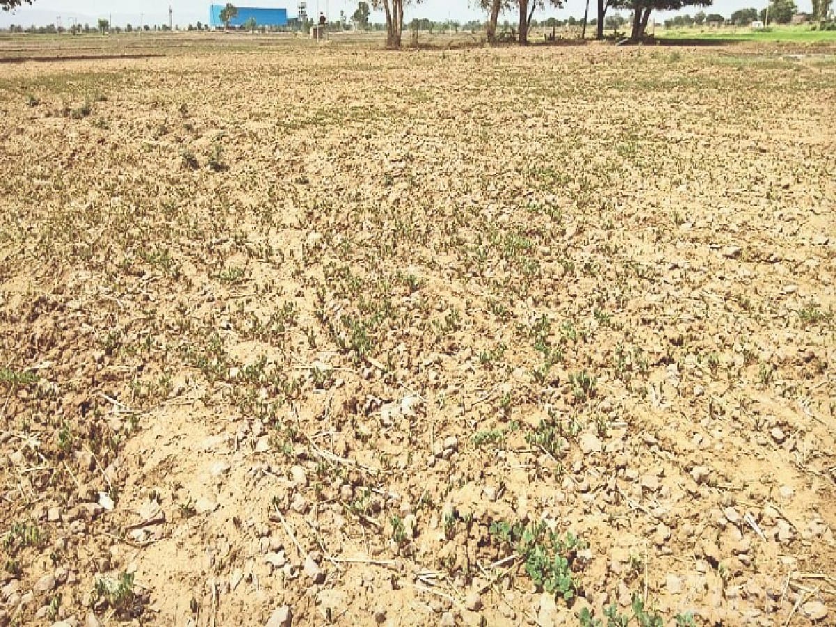 Residential/Farm Plot for Sale Kangshiyali - Land & Plots - Upleta - Image 3