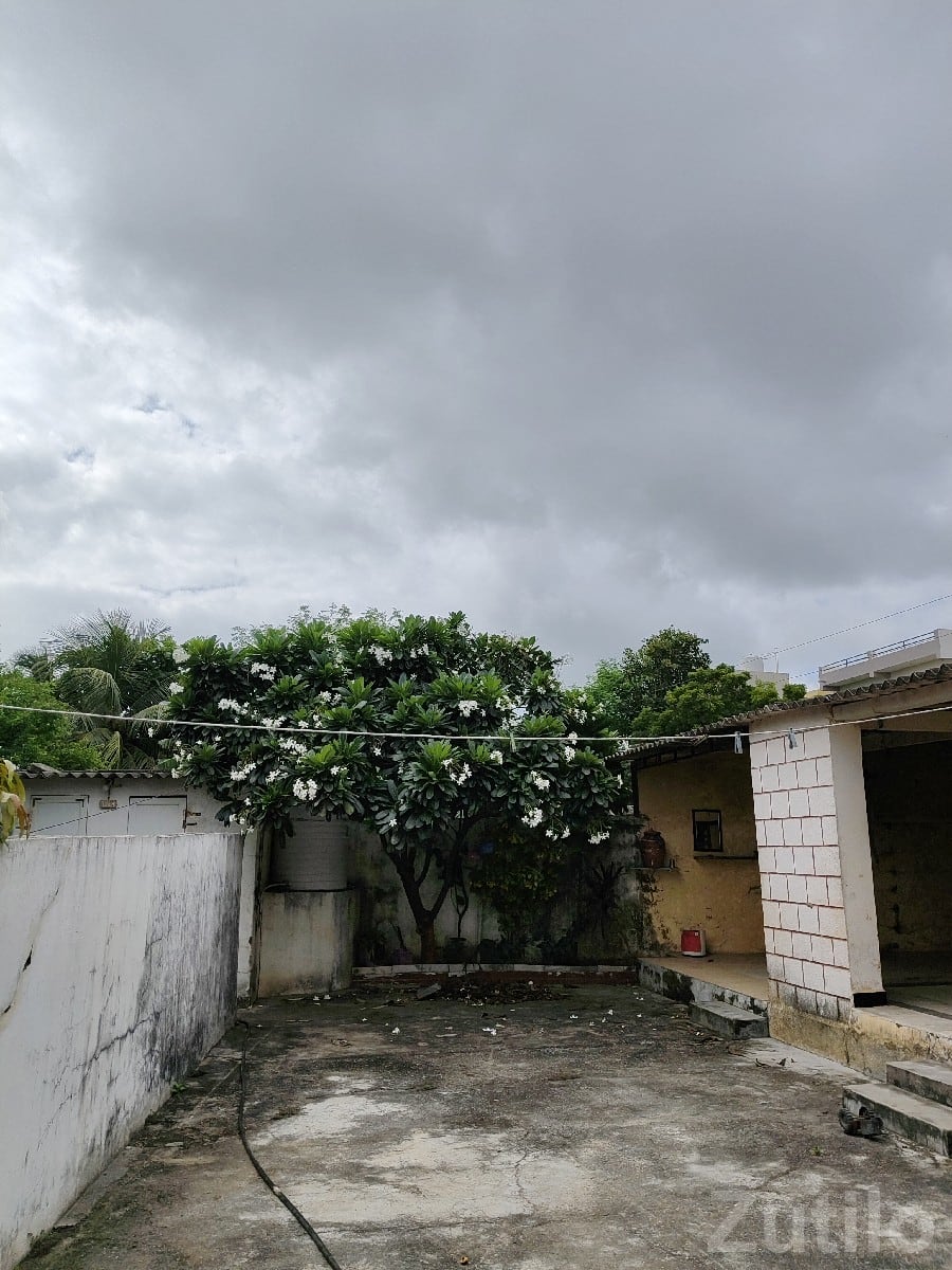 House with Open Yard for Sale in Kalyanpur - House for Sale - Kalyanpur - Image 2